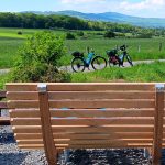 Eine Bank am Wegesrand uk-cover