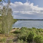 Blick auf einen großen See mit Bäumen und Sträuchern am Ufer. uk-cover