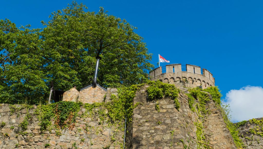 Schlossruine Alsbach Blick auf Schlossruine Alsbach