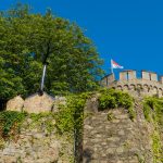 Blick auf Schlossruine Alsbach uk-cover