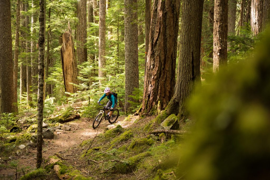 Radfahren in einem unberührten Wald Radfahrer im Wald