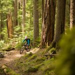 Radfahrer im Wald uk-cover
