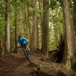 Mountainbiker fährt durch den Wald uk-cover