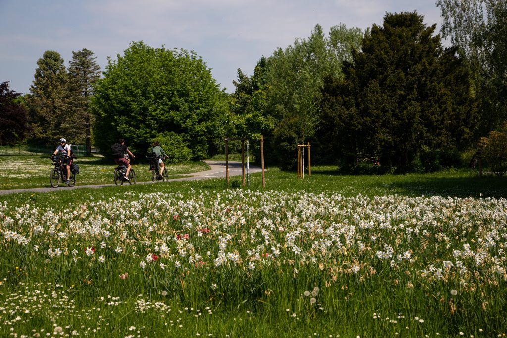 Foto von Radfahrenden auf einem Radweg