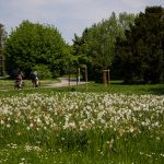 Foto von Radfahrenden auf einem Radweg uk-cover