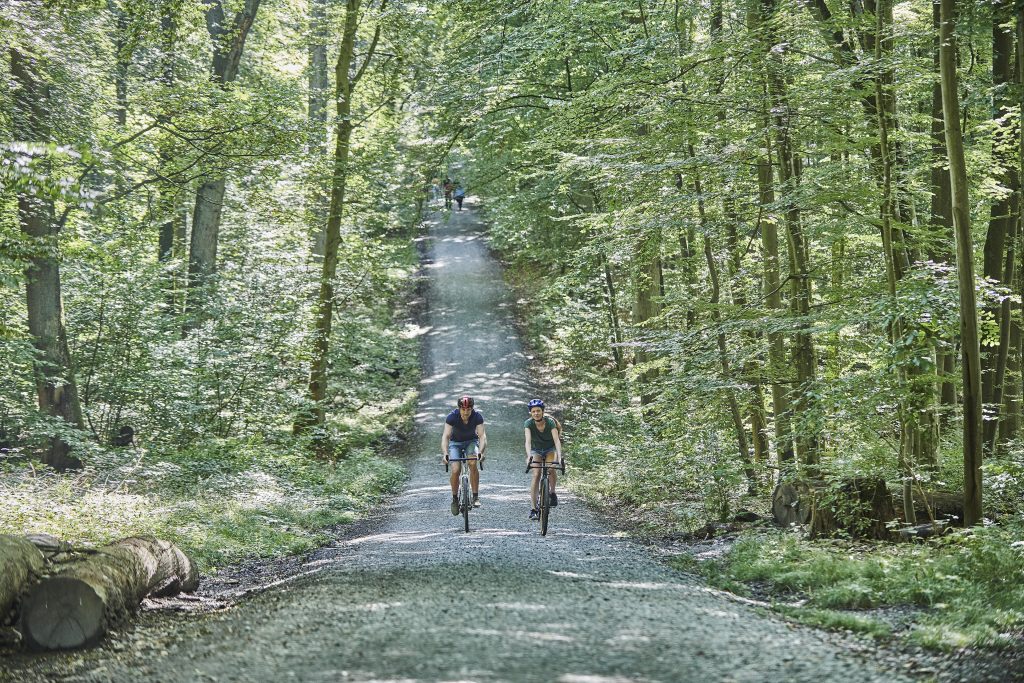 Zwei Radfahrende auf einem Weg durch den Weld