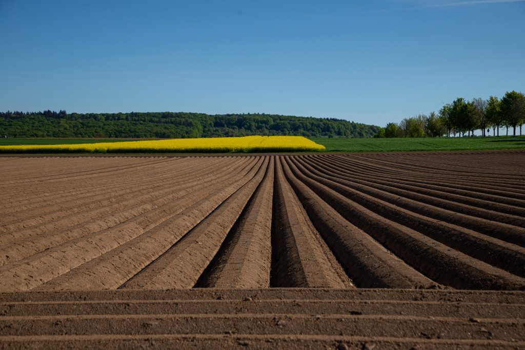 Foto von Feldern am Waldrand