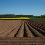 Foto von Feldern am Waldrand uk-cover
