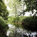 Fotoo eines Baches in einem Naturschutzgebiet uk-cover