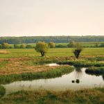 Foto des Flusses Nidda in der Wetterau uk-cover